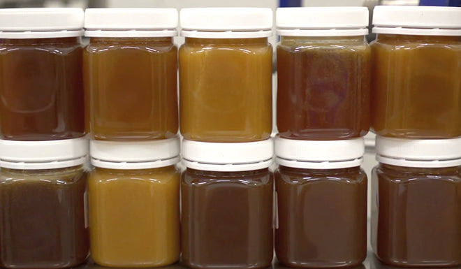 Is Manuka honey always the same color?