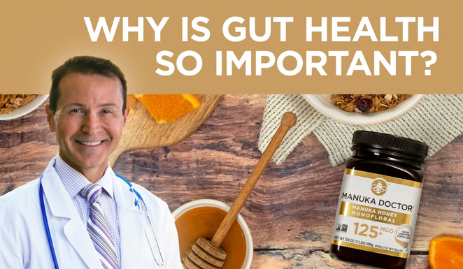 Why is Gut Health So Important?