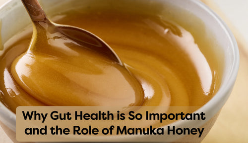 Why Gut Health is So Important and the Role of Manuka Honey