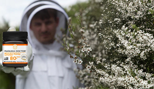 Manuka Honey, MGO and Heat – The Full Facts