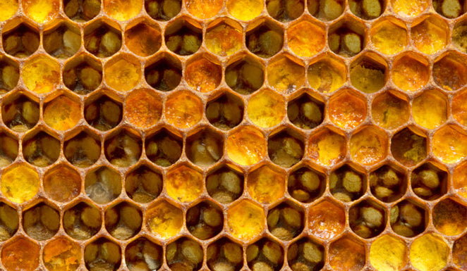 Six things you didn’t know about Royal Jelly