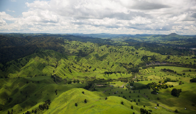 Can you really trace a jar of honey bought in the UK back to the hive where it came from 11,500 miles away?
